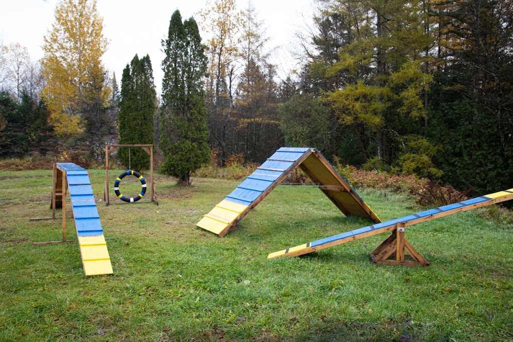 Palace pour chiens | 120, 33ème rue Lac des Français, Sainte-Marcelline-de-Kildare, QC J0K 2Y0, Canada | Phone: (450) 271-0534