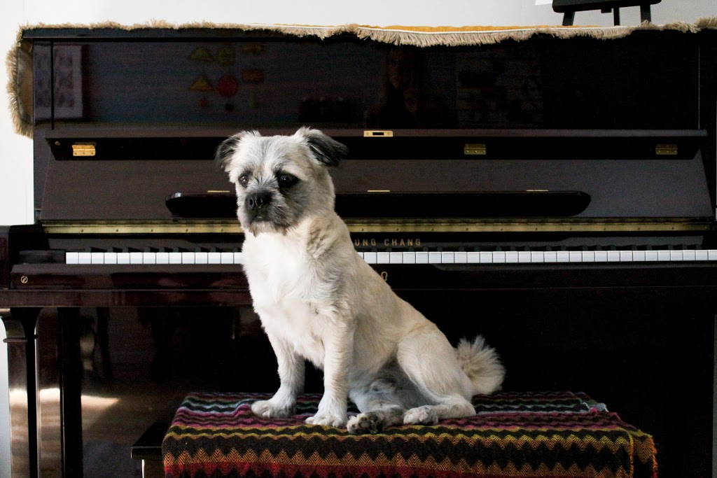 Beyond the Keys Piano Studio | 6652 Jupiter Blvd, Niagara Falls, ON L2J 3X1, Canada | Phone: (289) 257-6886