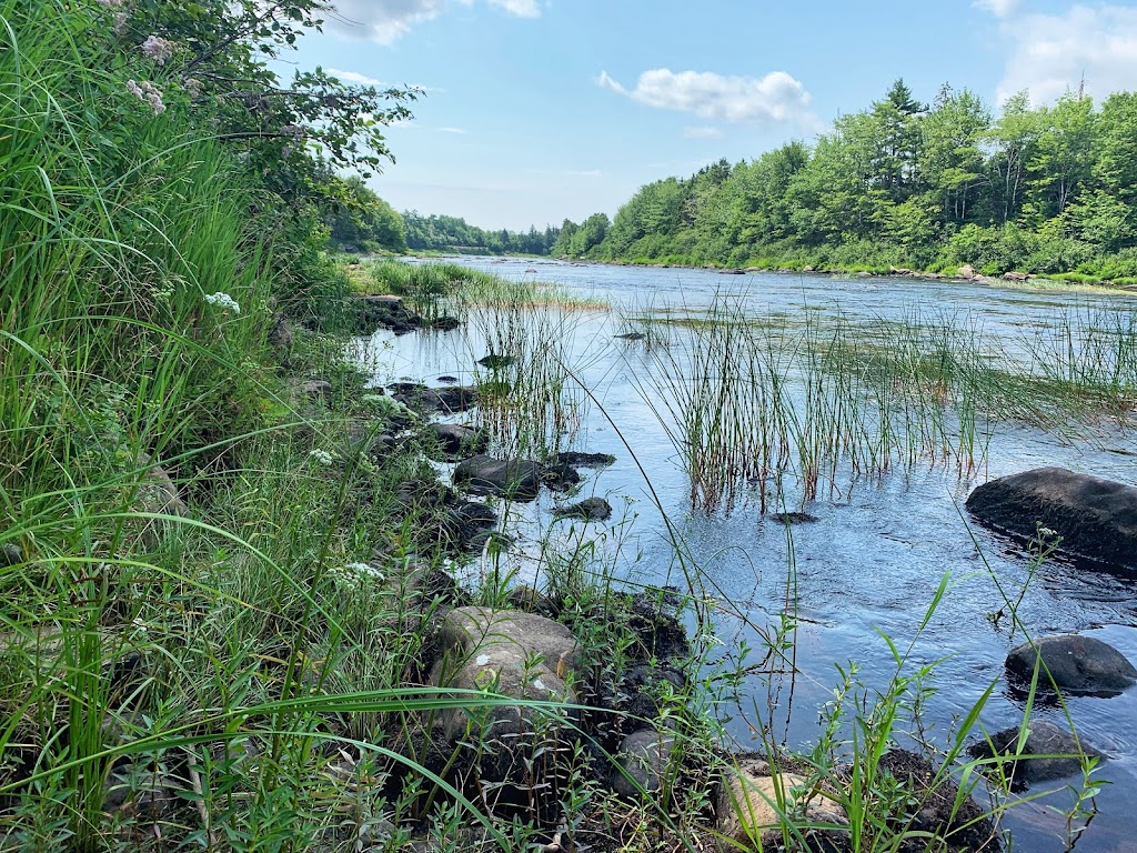 St Marys River Association Interpretive Centre | 8404 Nova Scotia Trunk 7, Sherbrooke, NS B0J 3C0, Canada | Phone: (902) 522-2099