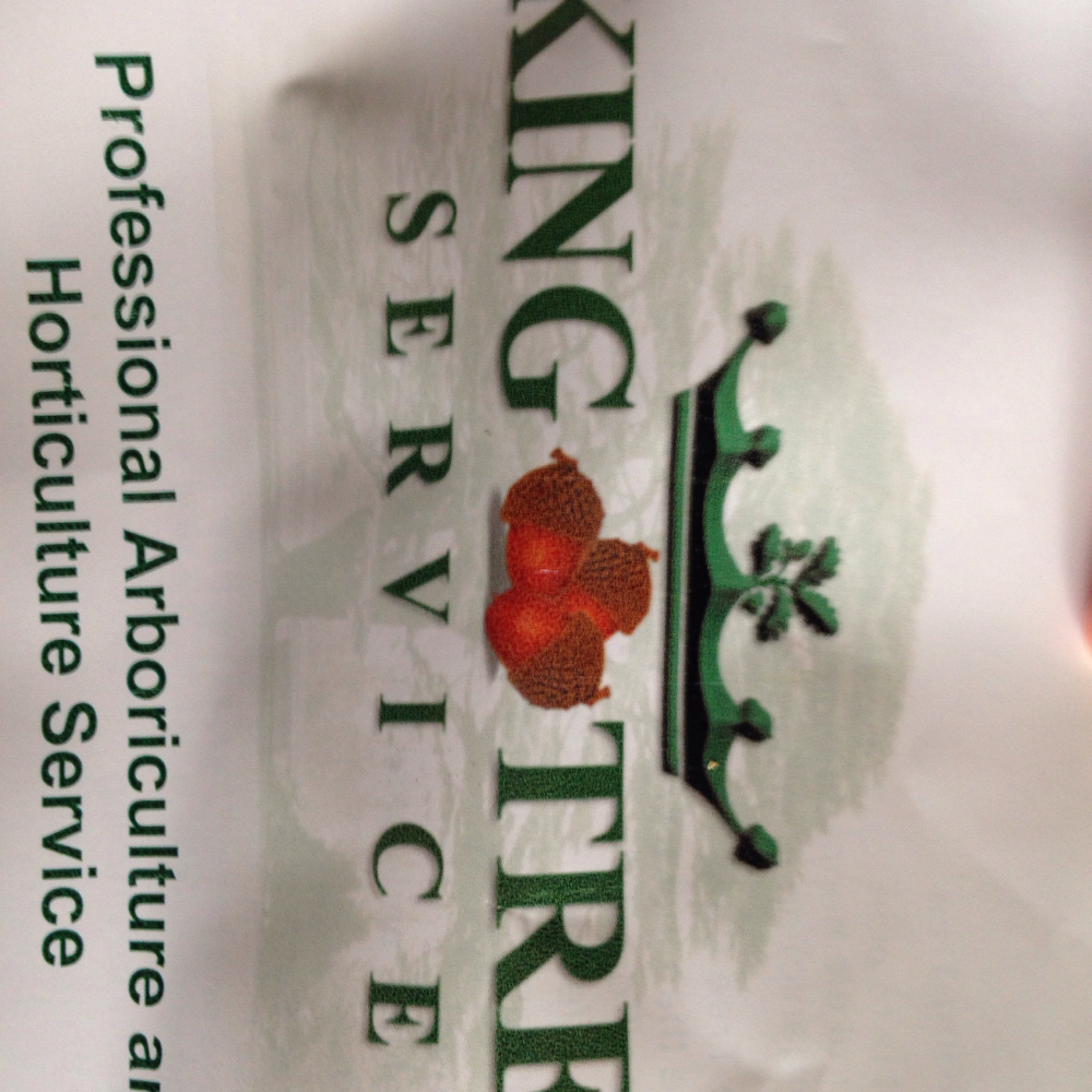 King Tree Service | 19 Dianne Ave, Cambridge, ON N1S 3J4, Canada | Phone: (519) 620-7165