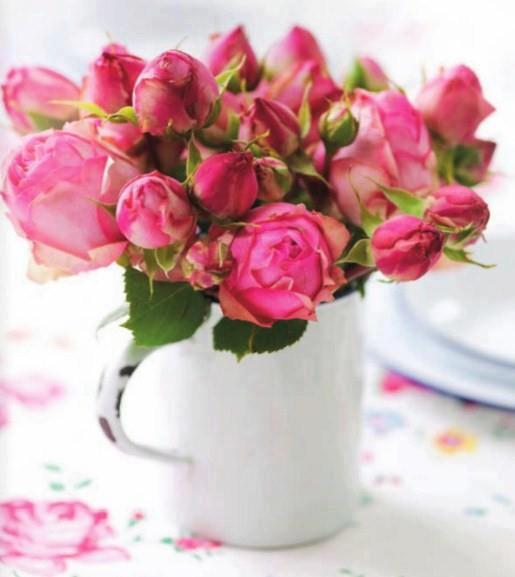Natures Rose Bouquet | florist | 8565 ON-27, Woodbridge, ON L4H 0B2, Canada | 9052642633 OR +1 905-264-2633