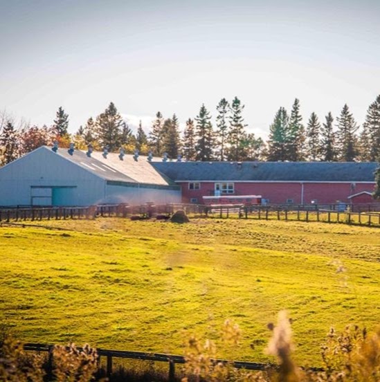 Nighswander Equestrian | 1675 St Johns Sideroad, Aurora, ON L4G 7C7, Canada | Phone: (905) 751-6771
