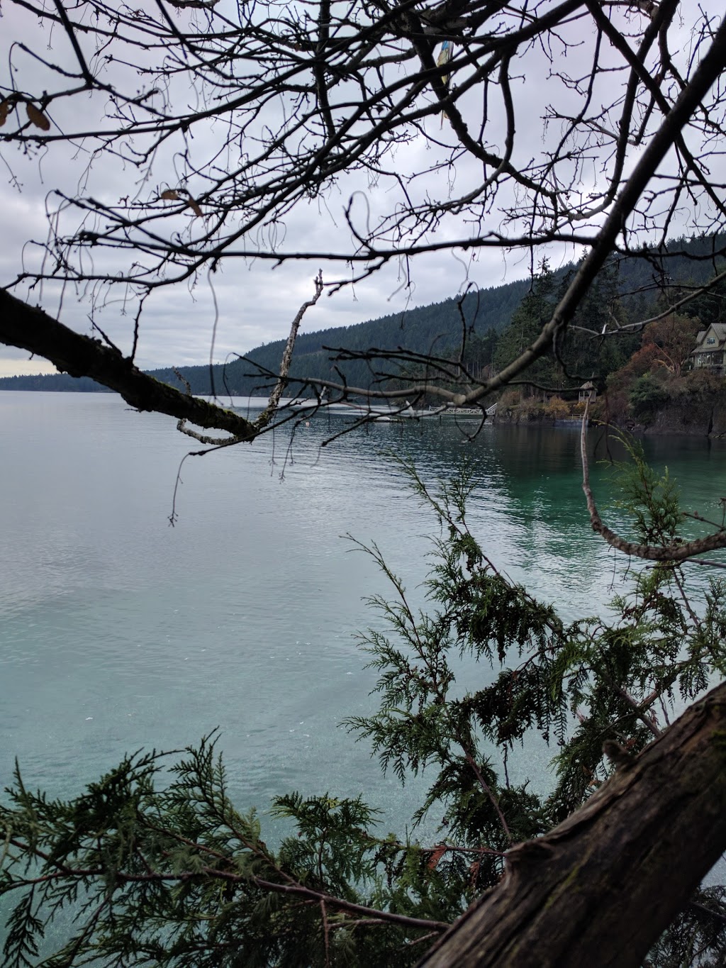Beddis Beach | 1456-1460 Beddis Rd, Salt Spring Island, BC V8K 2E2, Canada | Phone: (250) 360-3000