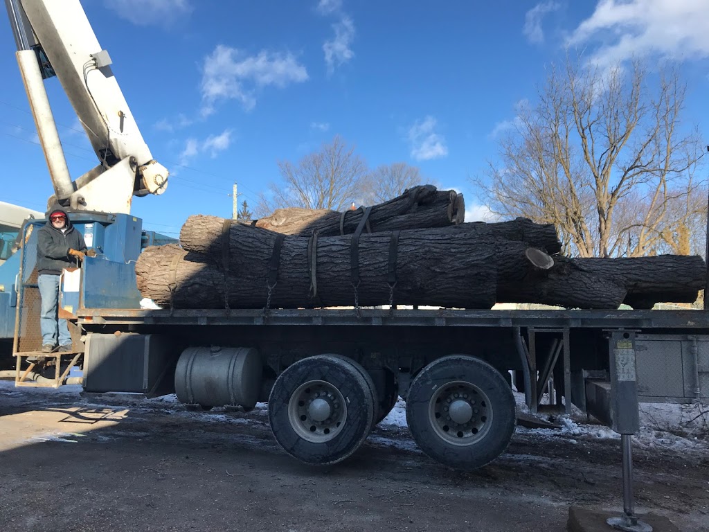 Natures Shade Tree Care | 50 Queen St, Schomberg, ON L0G 1T0, Canada | Phone: (416) 427-6319