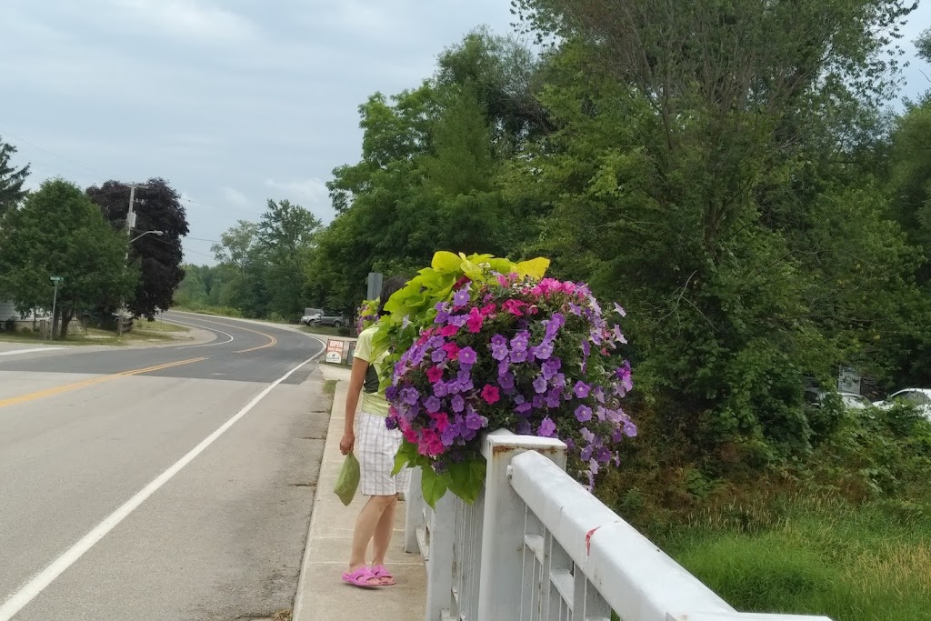 Free Spirit Tours | 236720 Grey County Rd 13, Heathcote, ON N0H 1N0, Canada | Phone: (519) 599-2268