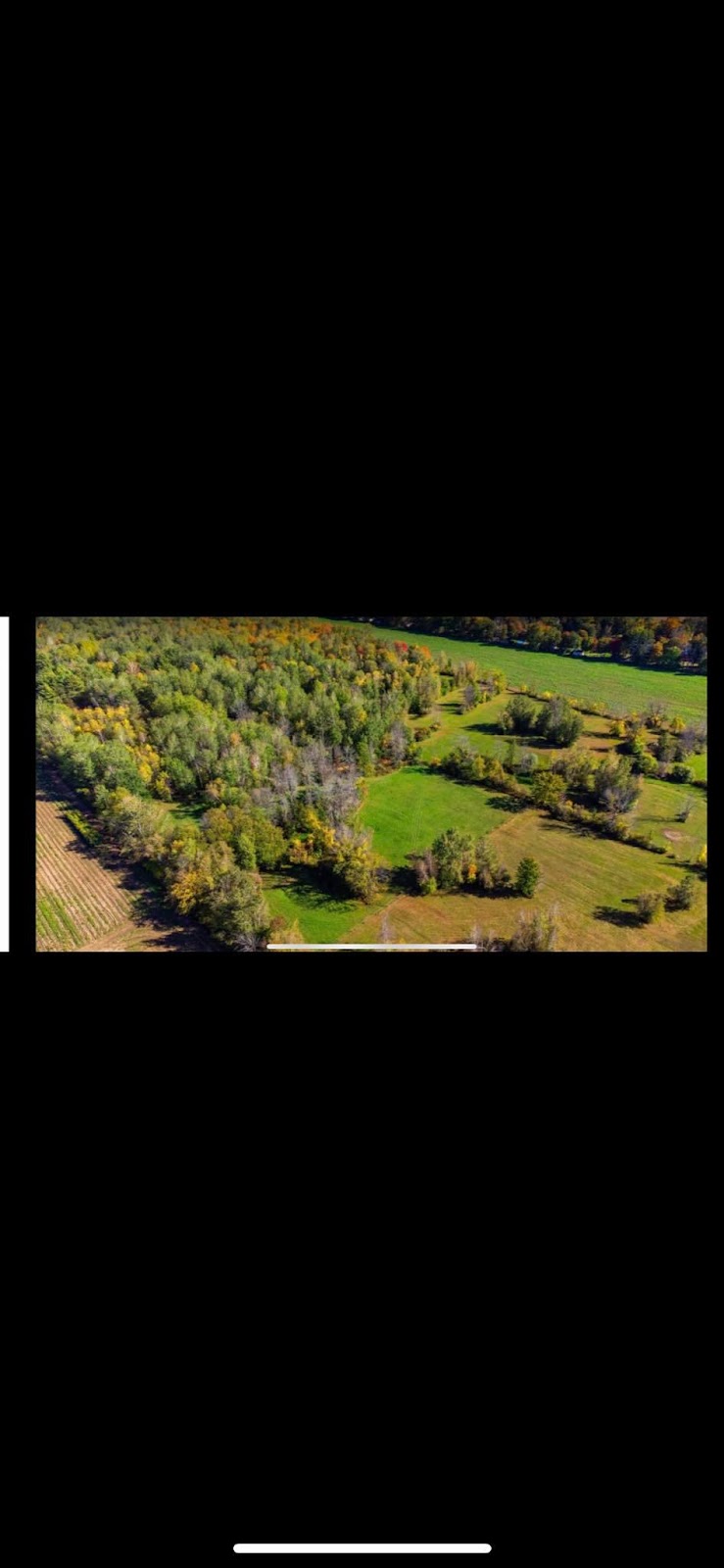Écurie Mb Inc. | 1380 Chem. Saint-Féréol, Les Cèdres, QC J7T 1N8, Canada | Phone: (450) 370-9426