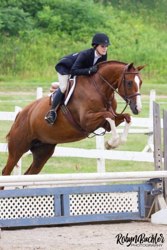 Eden Ridge Equestrian | 684536 Rd 68, Woodstock, ON N4S 7V7, Canada | Phone: (519) 777-2306
