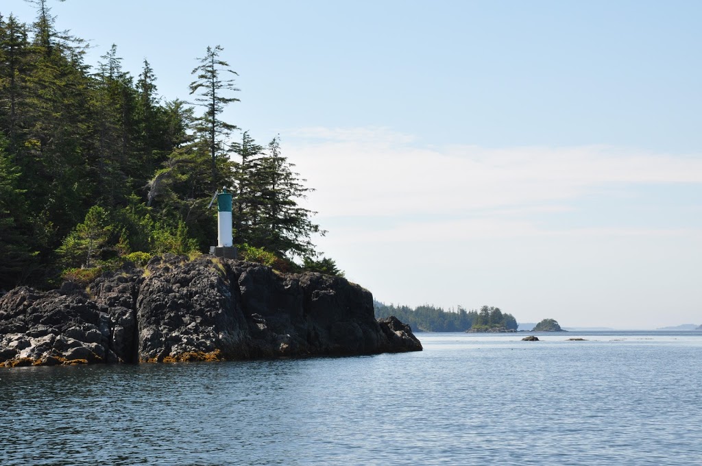 Reynolds Carpet and Upholstery Cleaning | 151 Margaret Ave, Salt Spring Island, BC V8K 1H4, Canada | Phone: (250) 537-4208