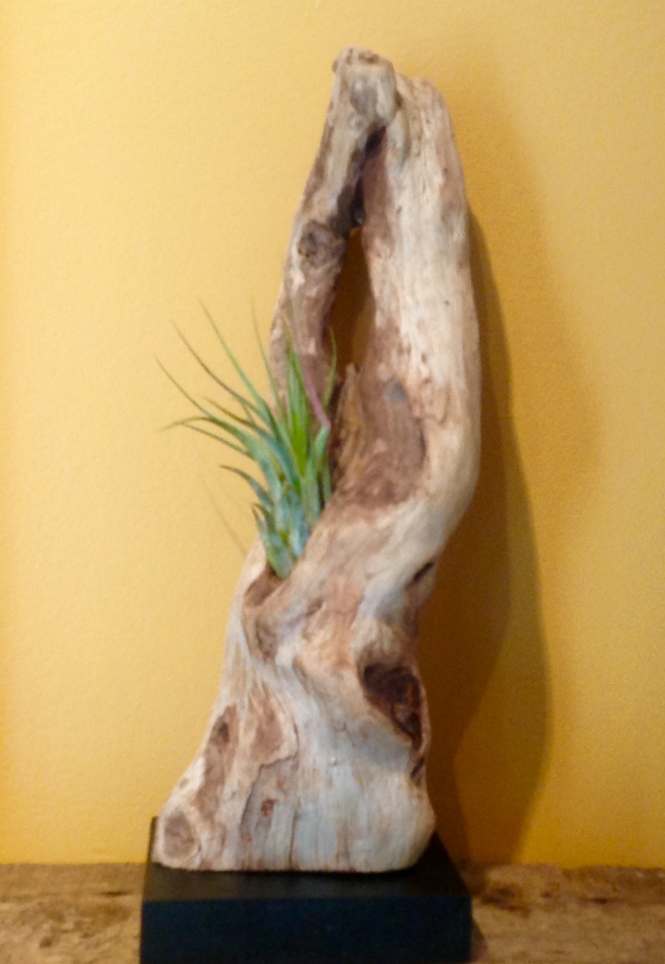 WaveWood Designs | 90 Kingsburg Rd, Rose Bay, NS B0J 2X0, Canada | Phone: (902) 764-2255