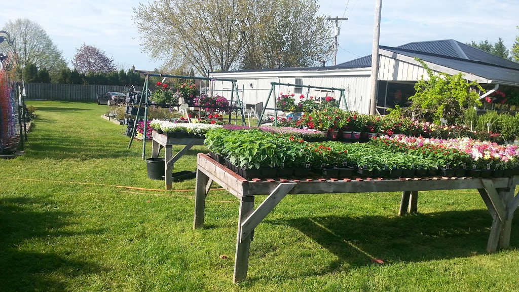 Dick & Nics Floral Pics | 4531 Hamilton Rd, Dorchester, ON N0L 1G6, Canada | Phone: (519) 268-6849