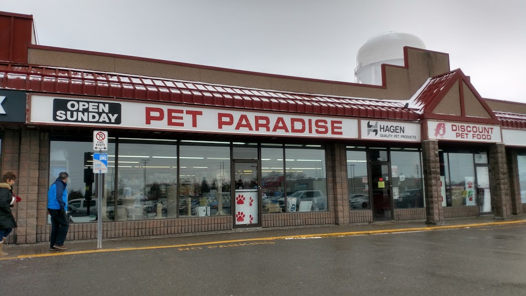 Pet Paradise | 28A-1111 Davis Dr, Newmarket, ON L3Y 9E5, Canada | Phone: (905) 853-7387