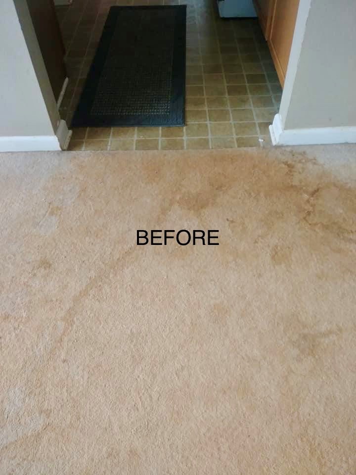 CR Carpet Cleaning | laundry | 31703 Charlotte Ave, Abbotsford, BC V2T 3Z6, Canada | 7785362963 OR +1 778-536-2963