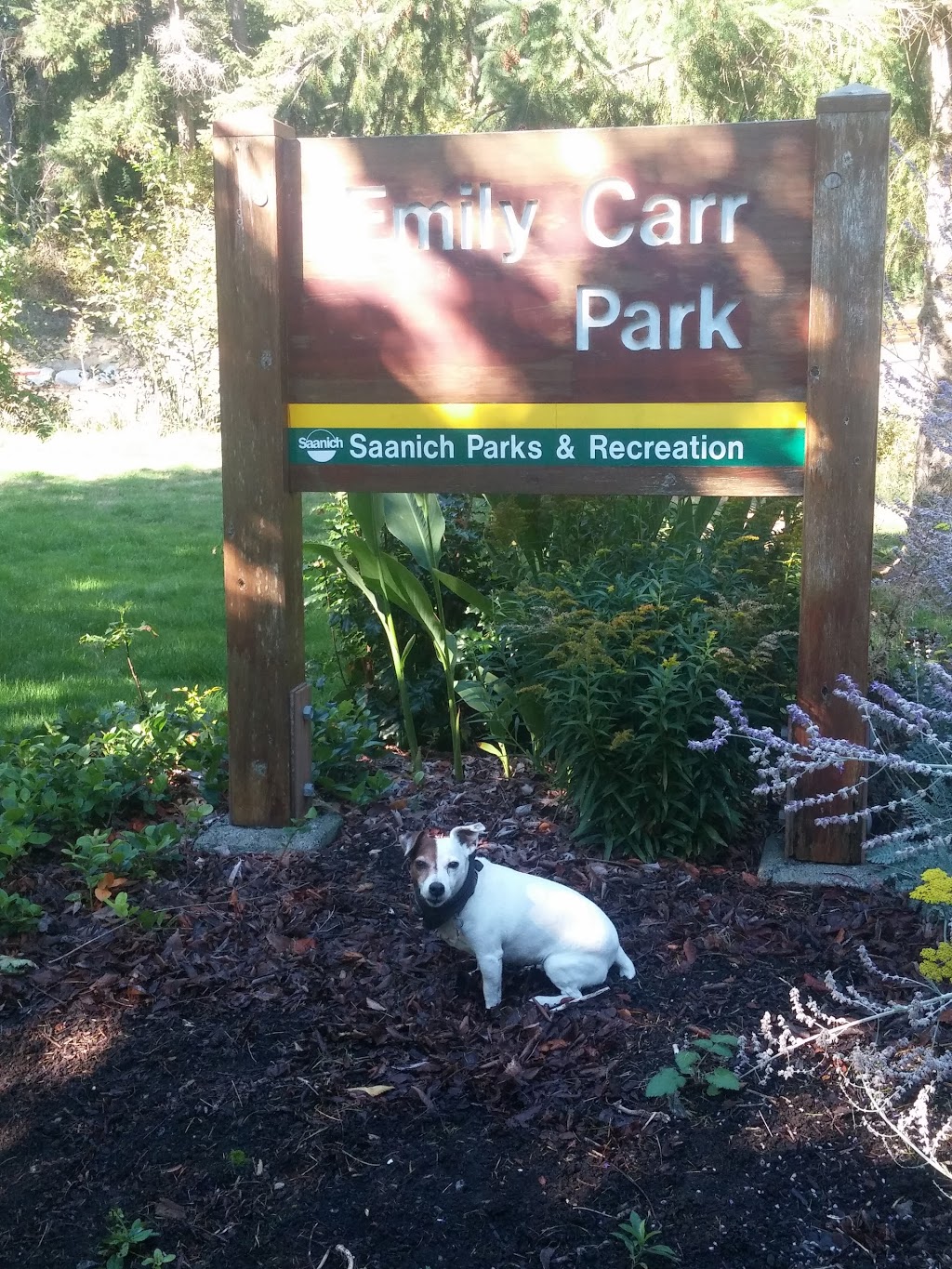 Emily Carr Park | 2N5, 4500 Emily Carr Dr, Victoria, BC V8X 2N6, Canada