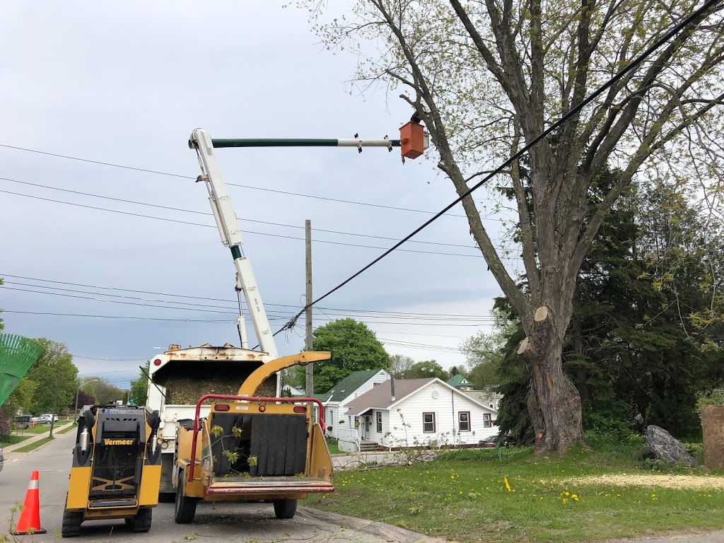 Axe & Wedge Tree Works | 200 Concession Rd 8 E, Tiny, ON L0L 2J0, Canada | Phone: (705) 540-0760