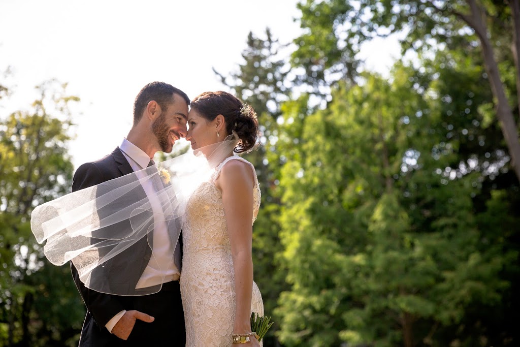 Pixel Light Studios | Stonecairn Dr, Cambridge, ON N1T 1X1, Canada | Phone: (519) 500-3036