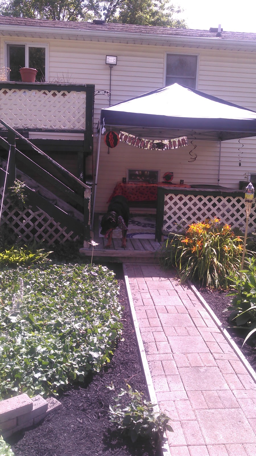 Lewis Painting Company | 3359 Andrews Rd, Ransomville, NY 14131, USA | Phone: (716) 791-3848