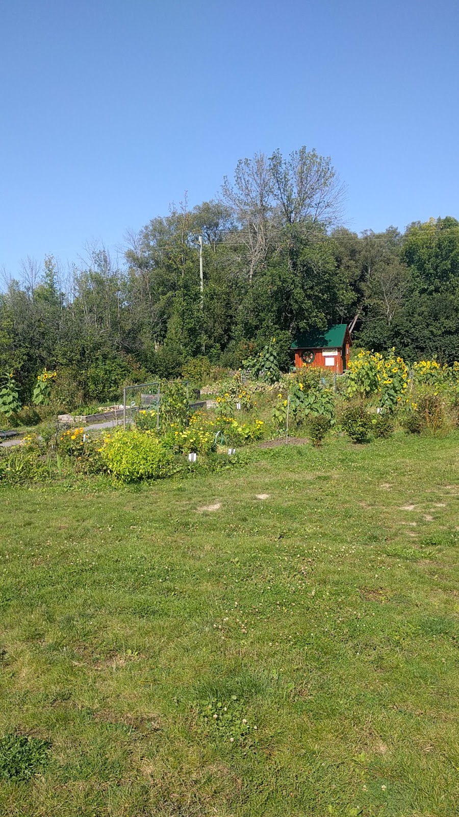 Augusta Street Park | 81 Mercer St, Almonte, ON K0A 1A0, Canada | Phone: (613) 256-2064