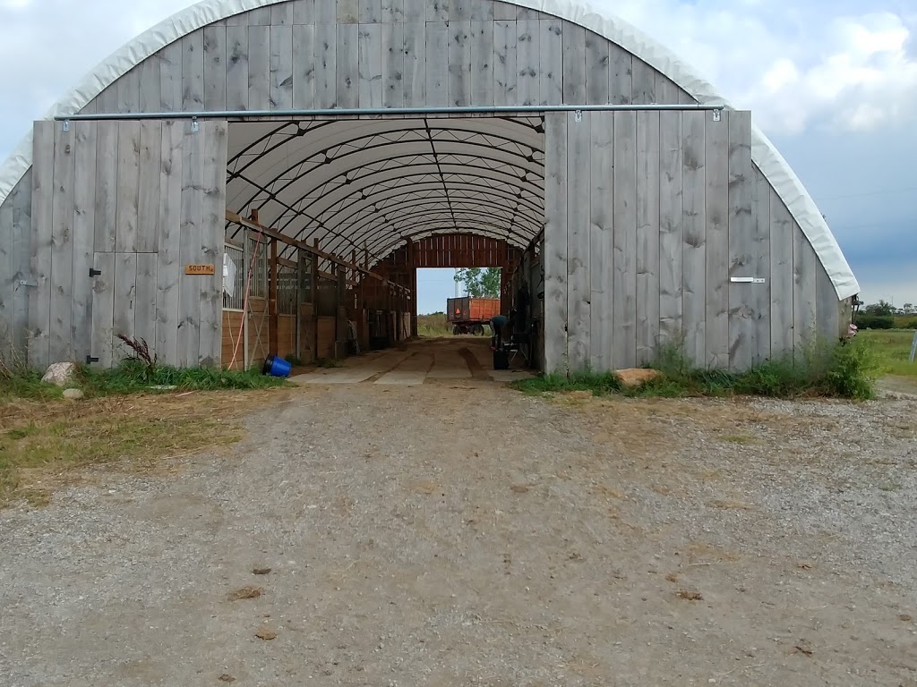 Beyond The Trail | 7186 9 Line, Chatham, ON N7M 5J6, Canada | Phone: (226) 626-0936