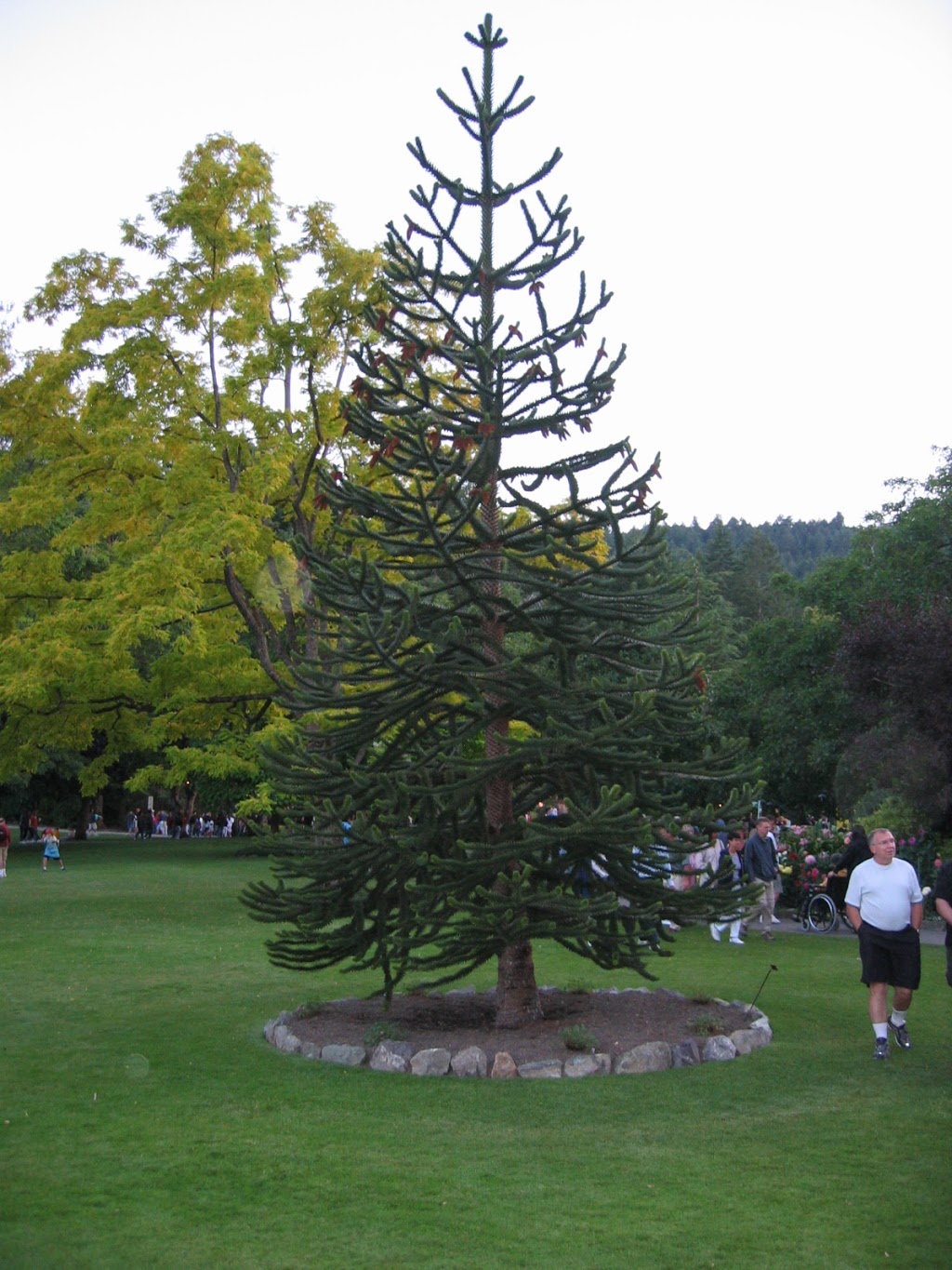 Italian Garden | Brentwood Bay, BC V8M 1J8, Canada