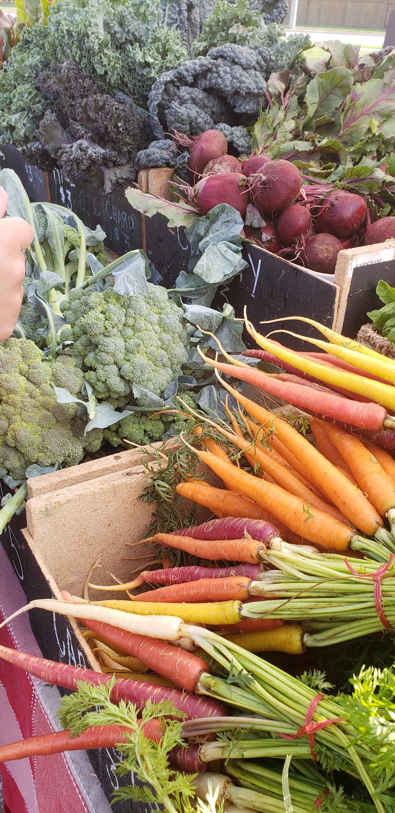 Waterdown Farmers Market | 200 Hamilton St N, Waterdown, ON L0R 2H0, Canada | Phone: (289) 260-6841
