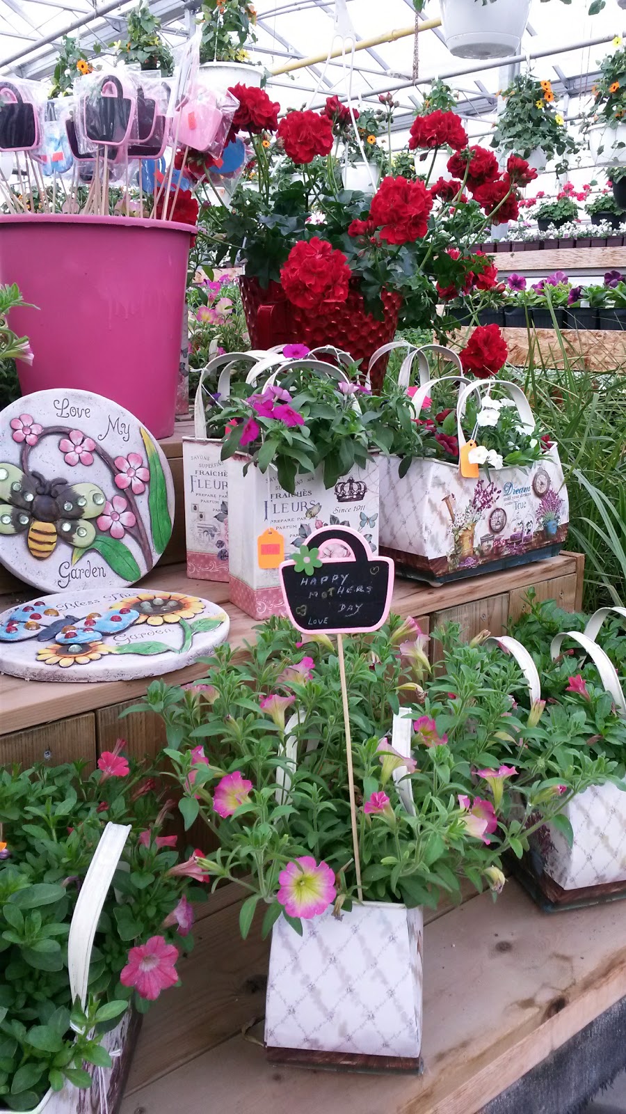 Bosch K & Sons Greenhouses | 4270 Portage Ave, Headingley, MB R4H 1C6, Canada | Phone: (204) 889-8066