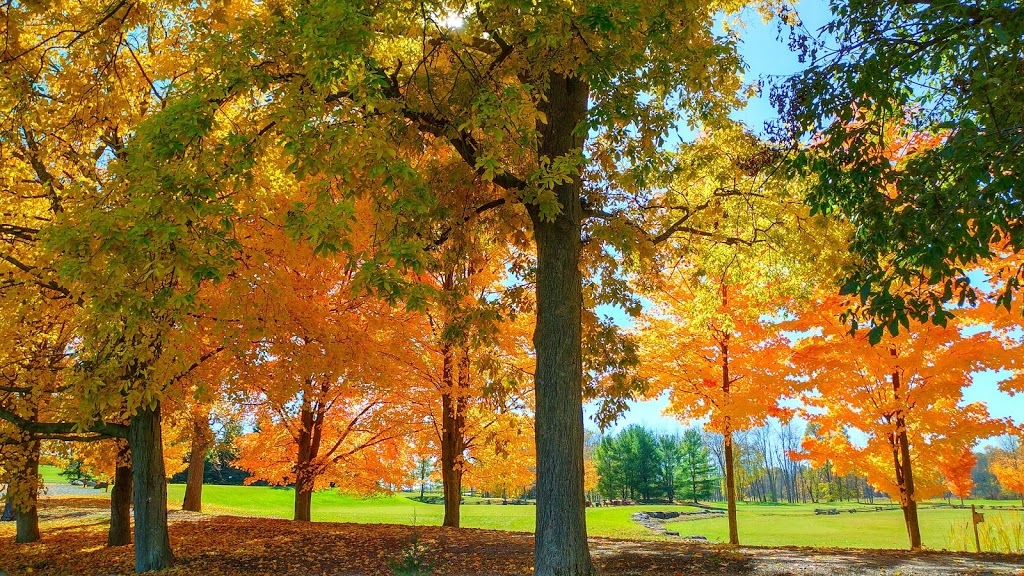 Black Bear Ridge Golf Course | 501 Harmony Rd, Corbyville, ON K0K 1V0, Canada | Phone: (613) 968-2327