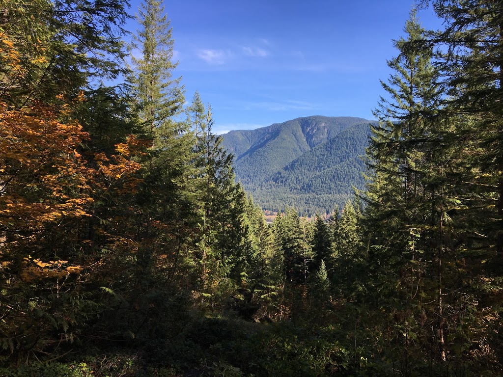 Lookout Trail | Golden Ears Pkwy, Maple Ridge, BC V0M, Canada