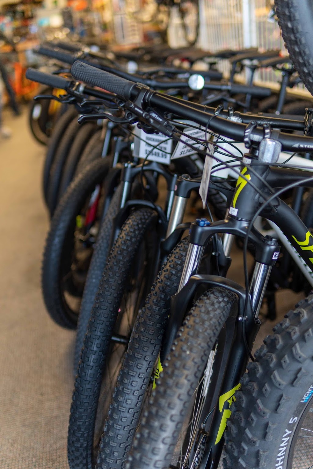 Bicycle World | 1267 Grand Marais Rd W, Windsor, ON N9E 1E1, Canada | Phone: (519) 966-7985