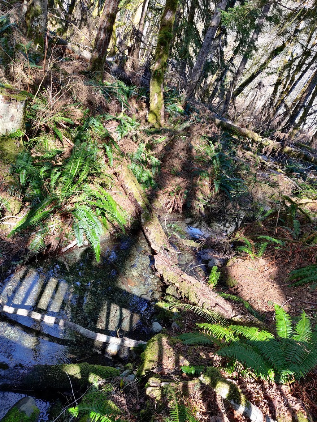 Price Park | Youbou Rd, Youbou, BC V0R 3E1, Canada | Phone: (250) 746-2620