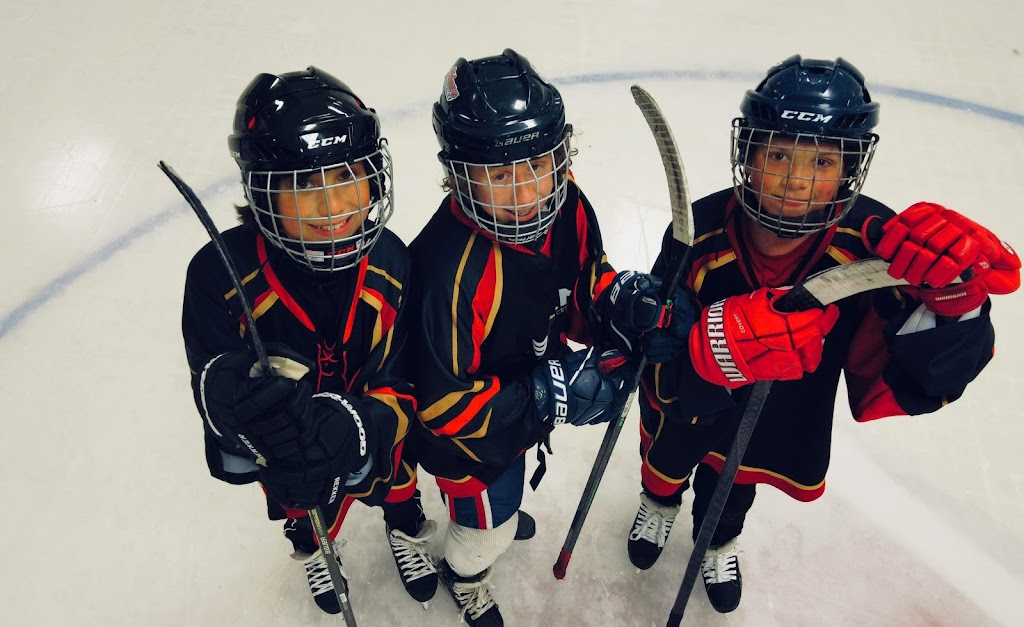 Home Ice Arena & Fitness | 870 Taunton Rd W, Oshawa, ON L1H 7K4, Canada | Phone: (905) 442-5618