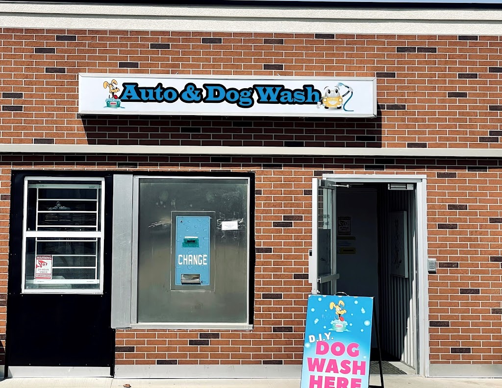 Wallaceburg Dog Wash | 63 McNaughton Ave, Wallaceburg, ON N8A 1R9, Canada | Phone: (519) 626-8525
