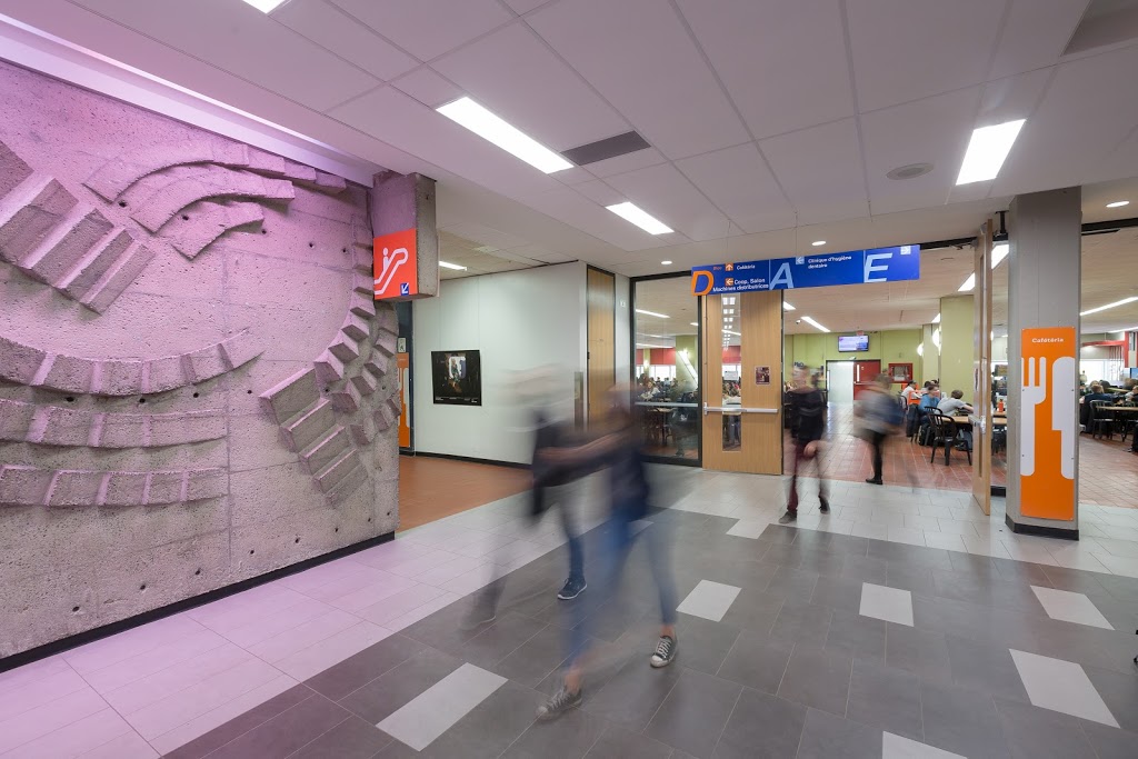 Collège de Maisonneuve | 3800 Rue Sherbrooke E, Montréal, QC H1X 2A2, Canada | Phone: (514) 254-7131