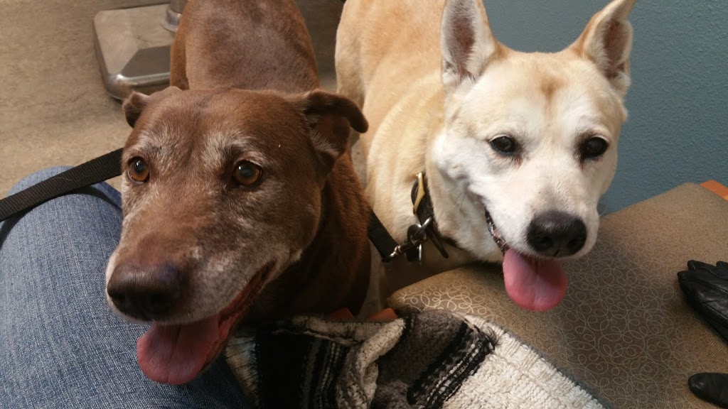 Fairhaven Veterinary Hospital | 2330 Old Fairhaven Pkwy, Bellingham, WA 98225, USA | Phone: (360) 671-3903
