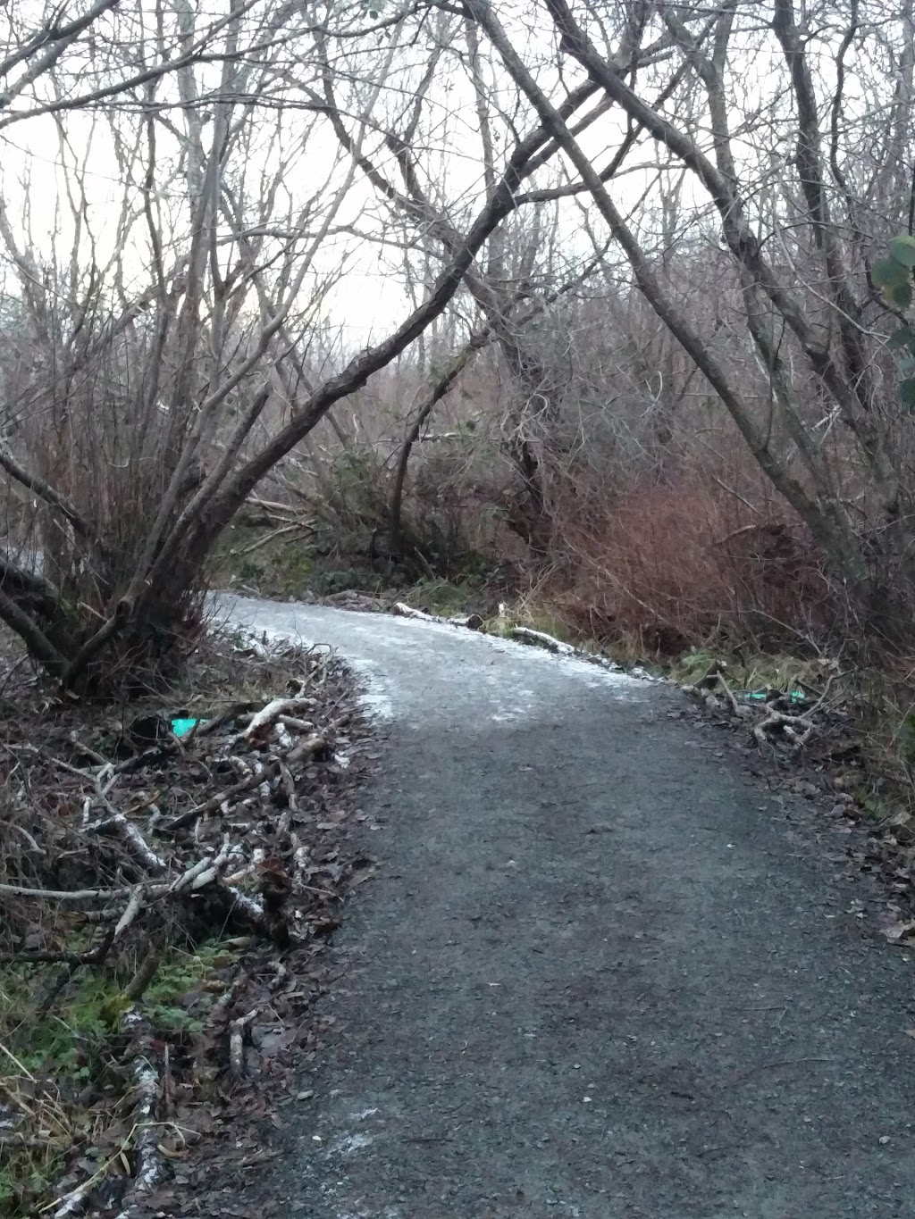 Shadywood Park | Shadywood Dr, Victoria, BC V8X 4N6, Canada