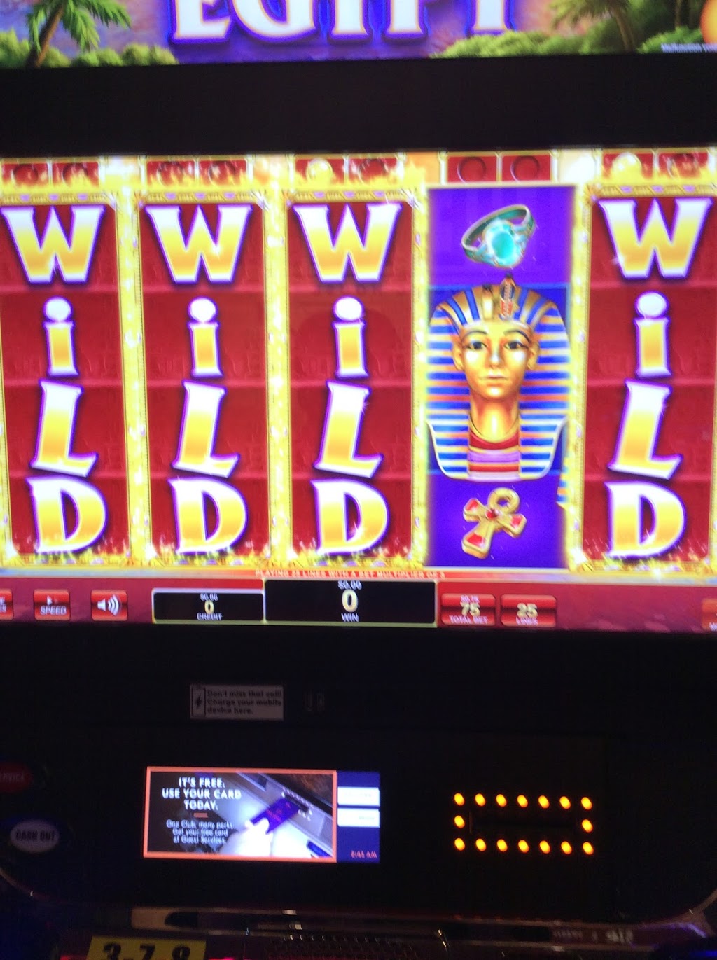 Casino/bonus100 | 444 Bruce Ave, Nanaimo, BC V9R 1S1, Canada | Phone: (778) 725-4187