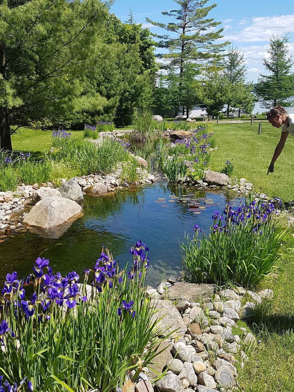 cleanslate homescape | 139 Medora St, Port Carling, ON P0B 1J0, Canada | Phone: (705) 646-5228