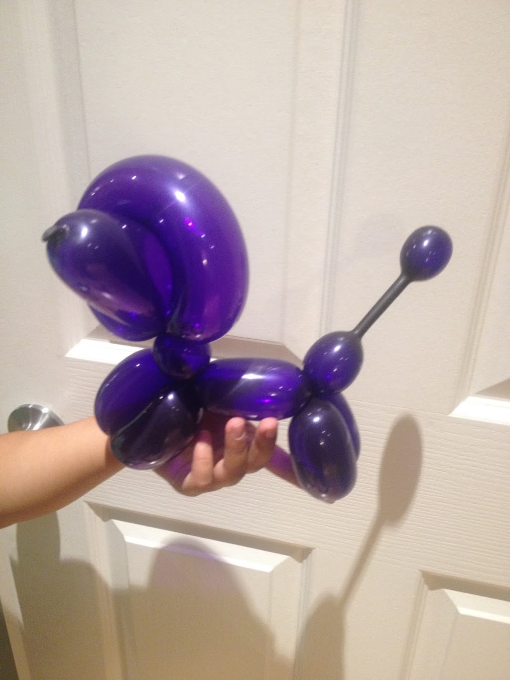 Langley Balloon Twist | 7264 201 St, Langley, BC V2Y 3G3, Canada | Phone: (778) 908-1236