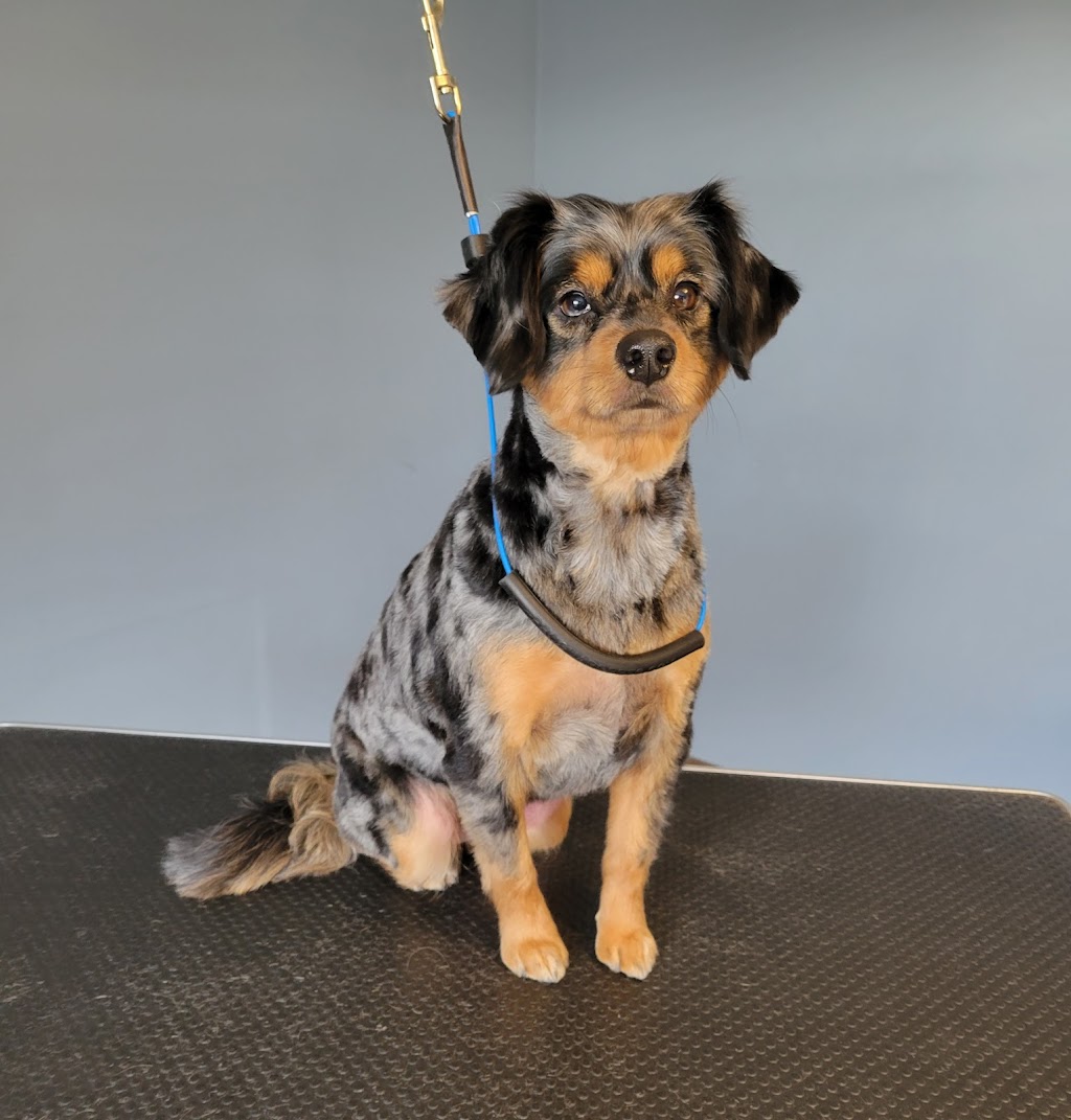 Happy Paws Grooming Shop | 12075 NS-224, Middle Musquodoboit, NS B0N 1X0, Canada | Phone: (902) 957-2418
