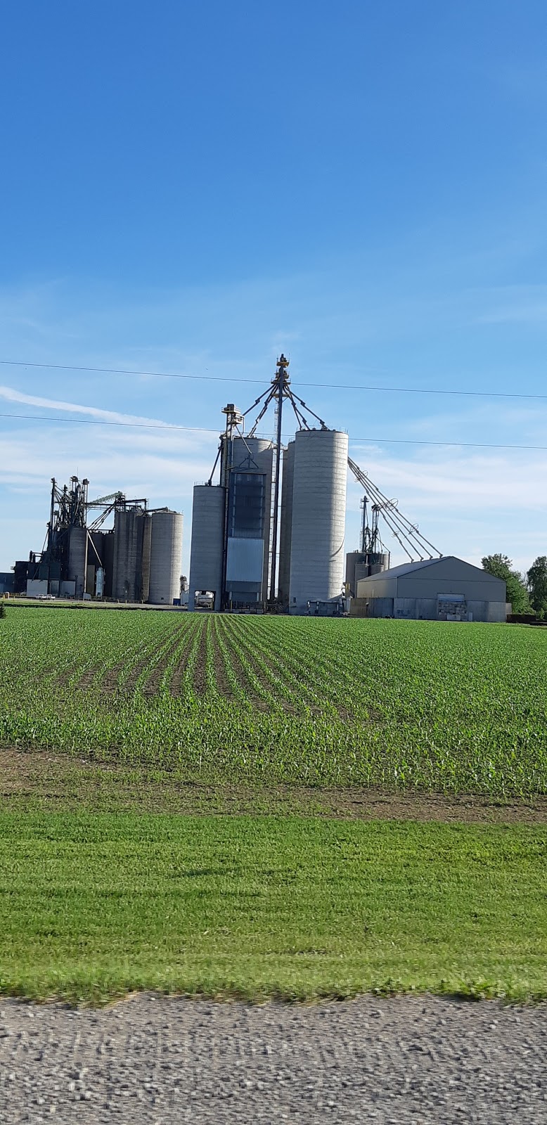 V.D.B. Grains Ltd. | 6448 Perth Line 34, Mitchell, ON N0K 1N0, Canada | Phone: (519) 348-4560