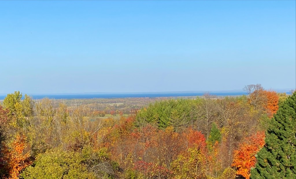 HawkinsRyerse Real Estate Group | 330 First St, Collingwood, ON L9Y 1B4, Canada | Phone: (705) 446-5136