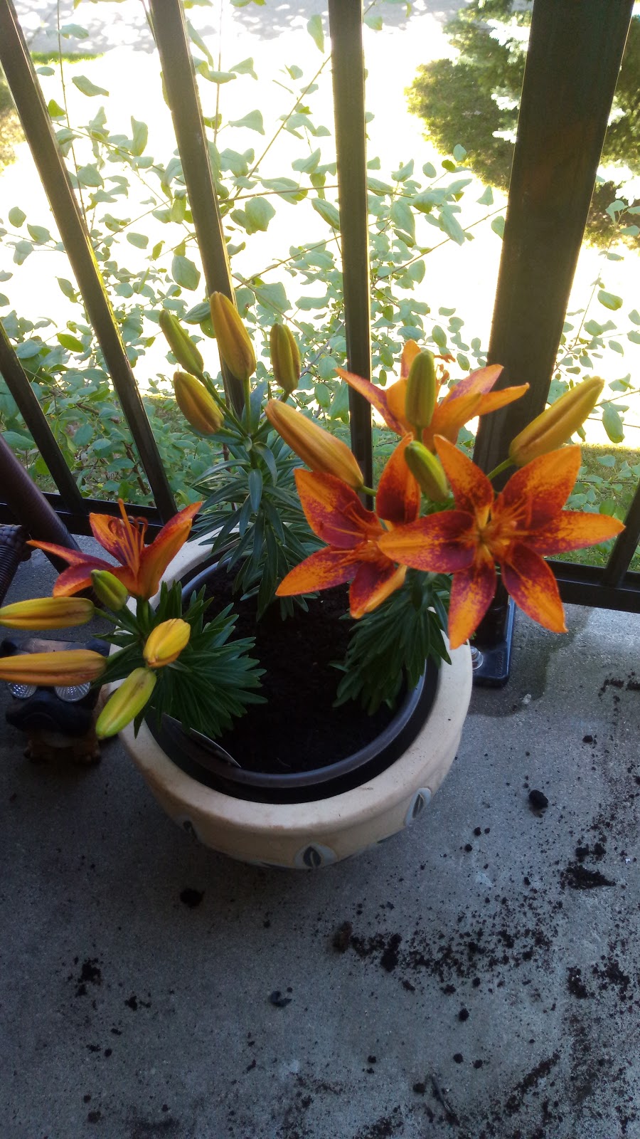 Garden Centre at The Home Depot | 1450 Ottawa St S, Kitchener, ON N2E 4E2, Canada | Phone: (519) 569-4300