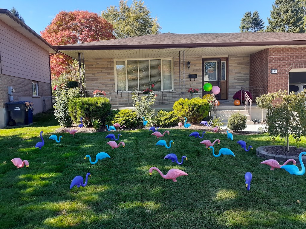 Surprise Signs | Guelph, ON N1L 0E2, Canada | Phone: (519) 546-7995