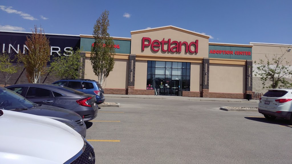 Winners | 130 Country Village Rd NE Ste 331, Calgary, AB T3K 6B8, Canada | Phone: (587) 535-7120