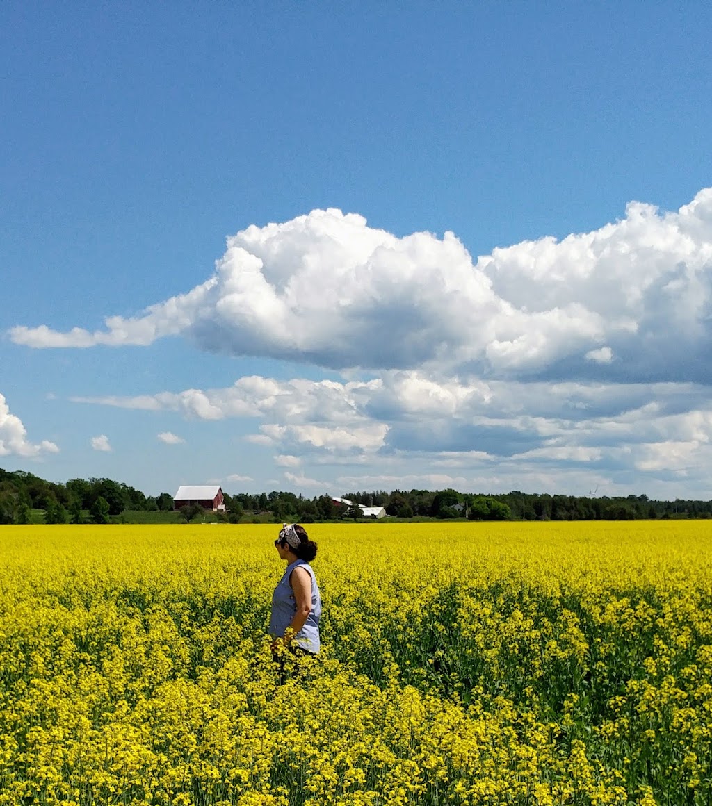 Peninsula Out Of Doors | 14 Budvet Rd, Lions Head, ON N0H 1W0, Canada | Phone: (519) 793-3979