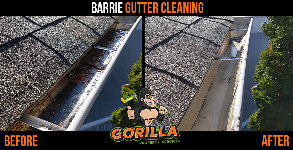 Gorilla Property Services | 65 Cedar Pointe Dr Ste 247, Barrie, ON L4N 9R3, Canada | Phone: (705) 805-0244