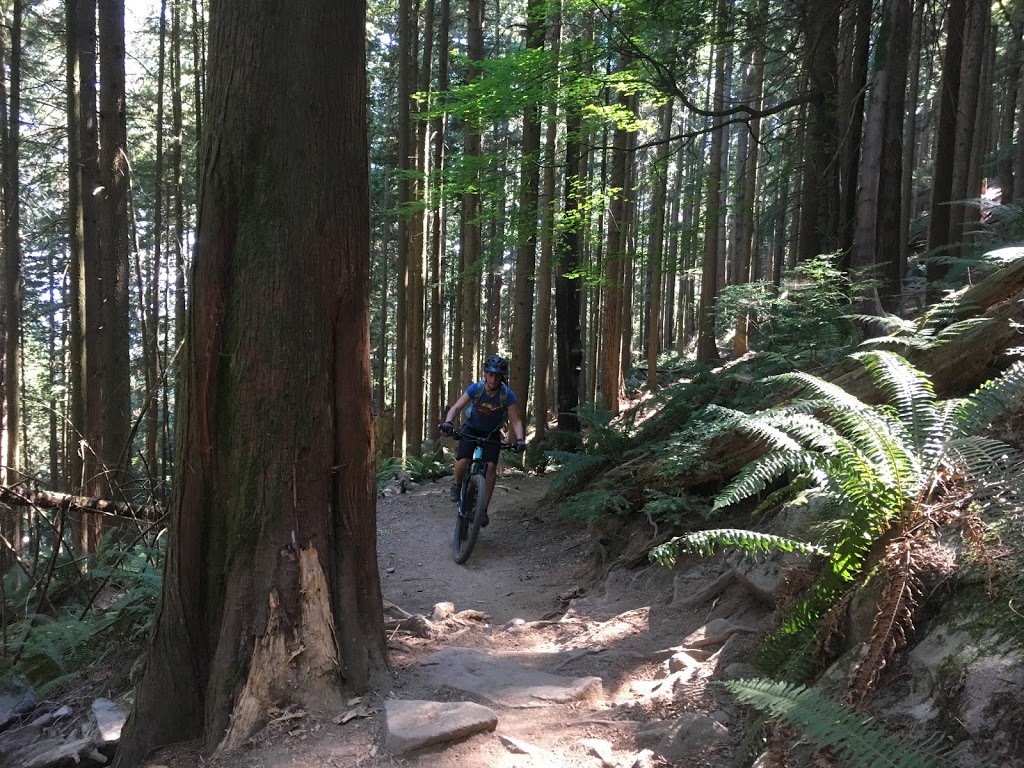 Baden Powell Trail | Baden Powell Trail, North Vancouver, BC V7R 4X4, Canada