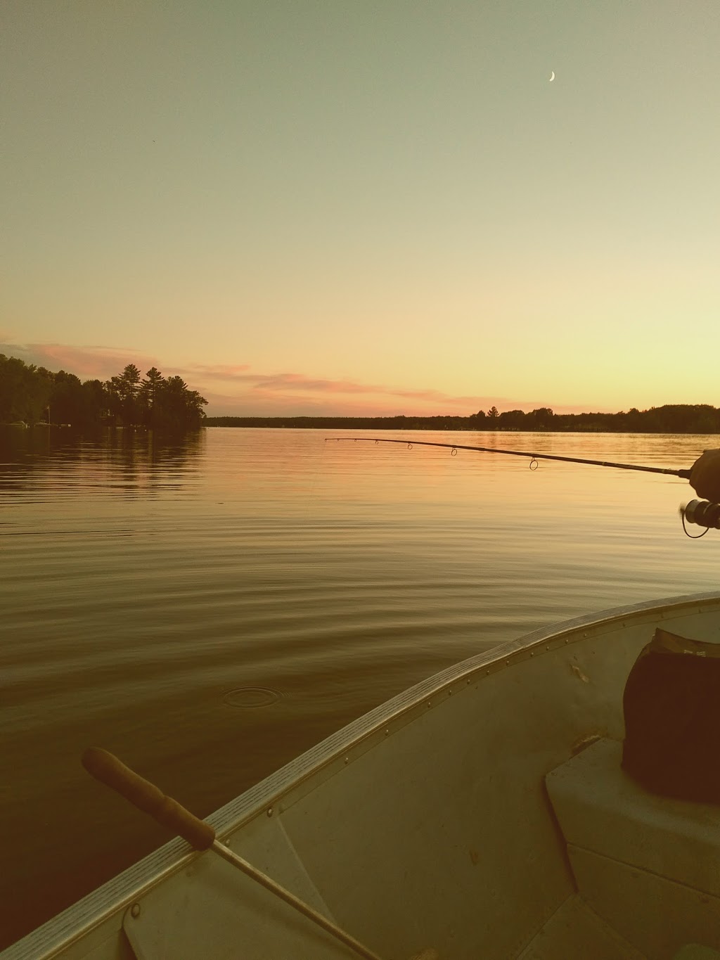 Shady Point Resorts | 3350 Buckhorn Rd, Lakefield, ON K0L 2H0, Canada | Phone: (705) 657-9922