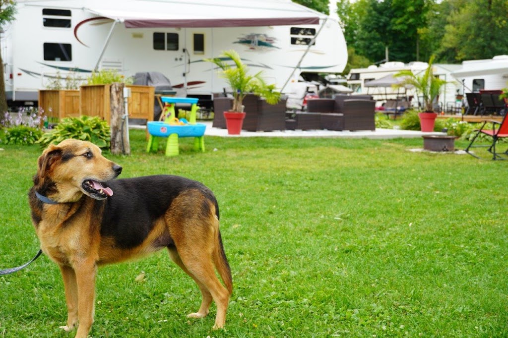 Camping Du Vieux Foyer | 105 Chemin de Saint-Dominique, Saint-Pie, QC J0H 1W0, Canada | Phone: (450) 772-5177