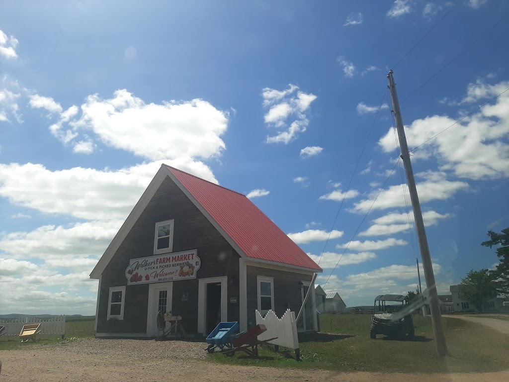 WALKERS STRAWBERRY FARM U-PICK | 837 Rt 880 Lower Millstream, Lower Millstream, NB E5P 3H7, Canada | Phone: (506) 433-1018