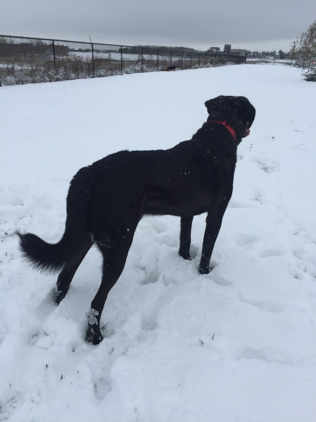 Sally Stewart Park | Buckingham Business Park, Sherwood Park, AB T8H 2C5, Canada